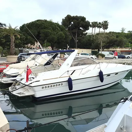 Boat Sunseeker