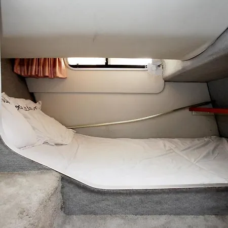 Boat Sunseeker Botel
